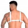 Harness Masculino Isaac Linha Sado - Êxtase